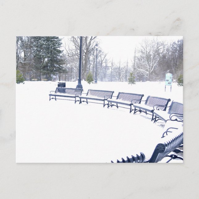 Hochlandpark im Winter Postkarte (Vorderseite)
