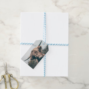 Hochlandrind-Porträt Geschenkanhänger