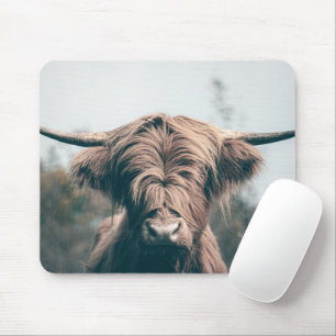 Hochlandrind-Porträt Mousepad
