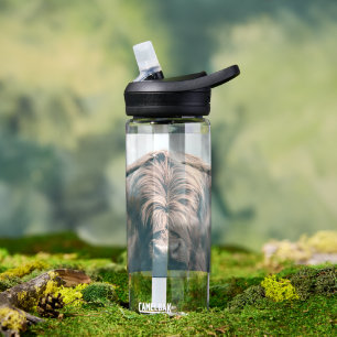 Hochlandrind-Porträt Trinkflasche