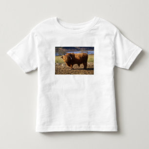 Hochlandrindbulle, Schottland Kleinkind T-shirt