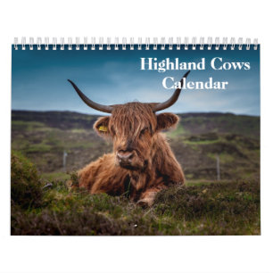 Hochlandrinder 2027 kalender