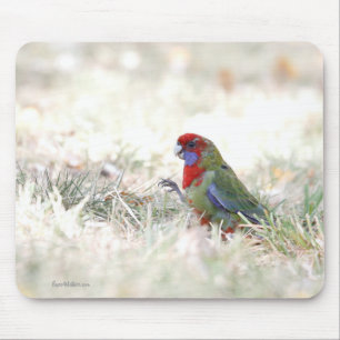 Hochrote Schönheit Mousepad