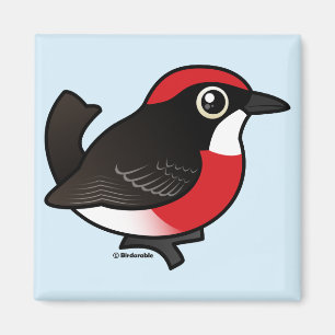 Hochroter Chat Magnet