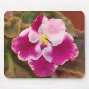 Hochrotes Eis-Usambaraveilchen Mousepad