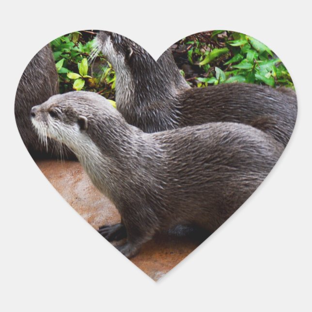 Höchst bis Niedlich, Otter Heart Stickers (Vorderseite)