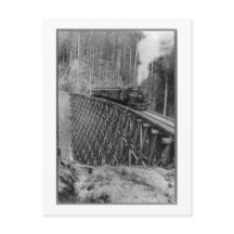 Höchster Single, der in der Welt Bäume schmiegt