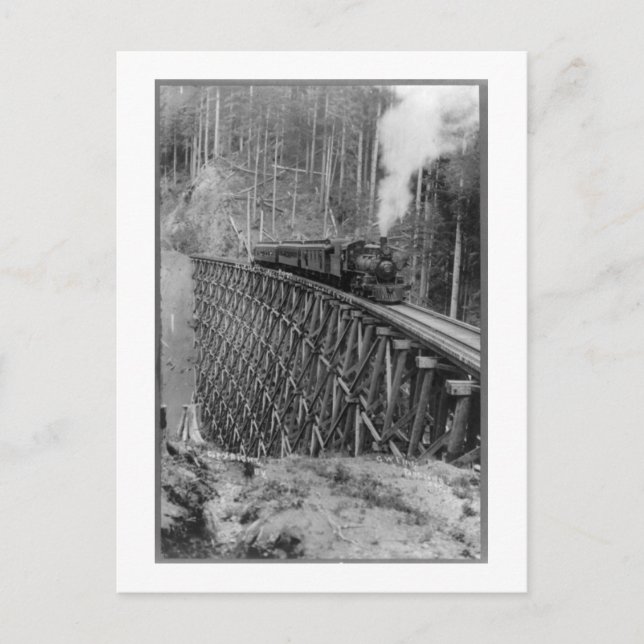 Höchster Single, der in der Welt Bäume schmiegt Postkarte (Vorderseite)