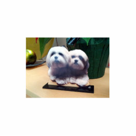 Hochwertige kundenspezifische AcrylFoto-Skulptur Freistehende Fotoskulptur