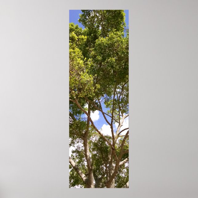 Hochwertiges Blumenbaum Poster (Vorne)