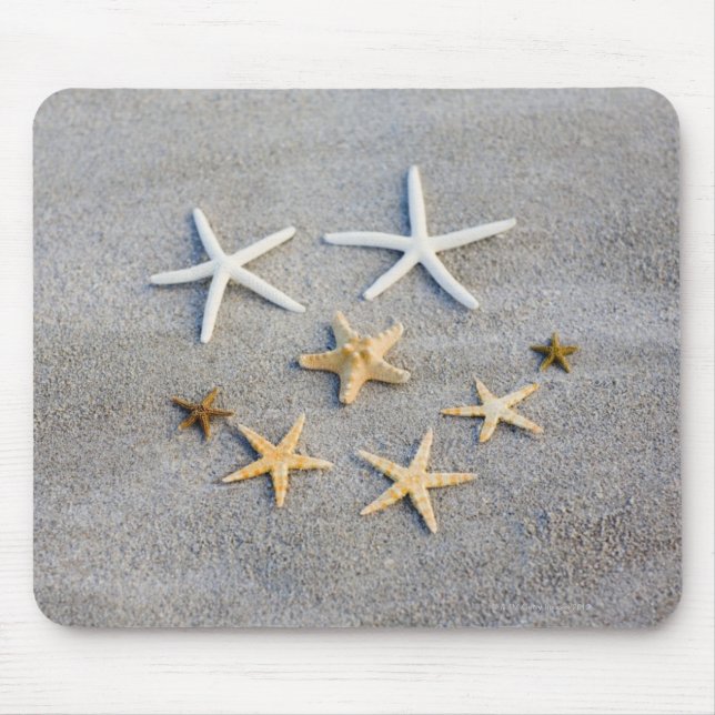 Hochwinkelaufnahme eines Seesterfisches am Strand Mousepad (Vorne)