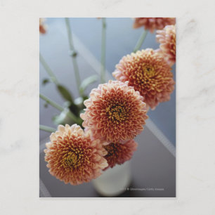 Hochwinkelaufnahme von Blume in einer Vase Postkarte
