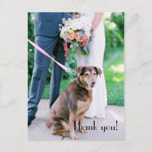 Hochzeit Danke Post Card Postkarte