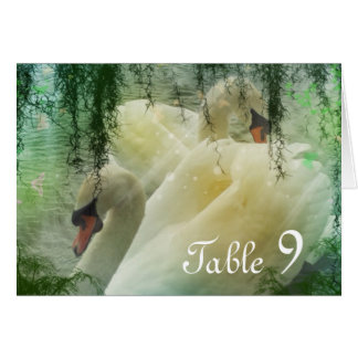 Hochzeit des weißen Sommers