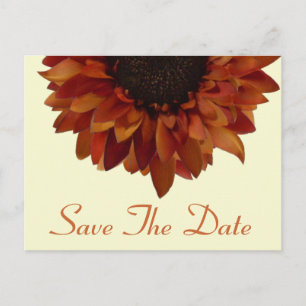 Hochzeit im Herbst Save the Date Sonnenblumen Post Ankündigungspostkarte