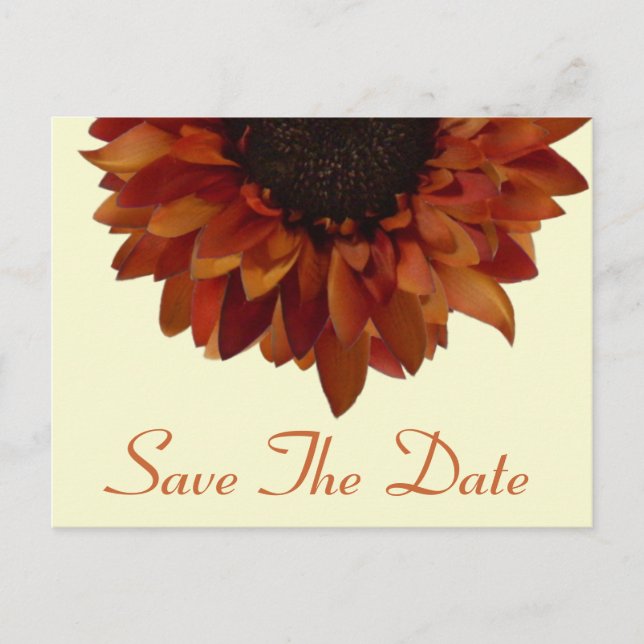 Hochzeit im Herbst Save the Date Sonnenblumen Post Ankündigungspostkarte (Vorderseite)