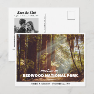 Hochzeit im Redwoods National Park - Save-the-Date Postkarte