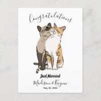 Hochzeit niedlicher Katzen