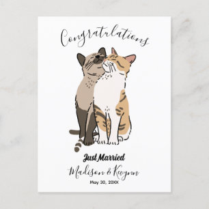 Hochzeit niedlicher Katzen Postkarte