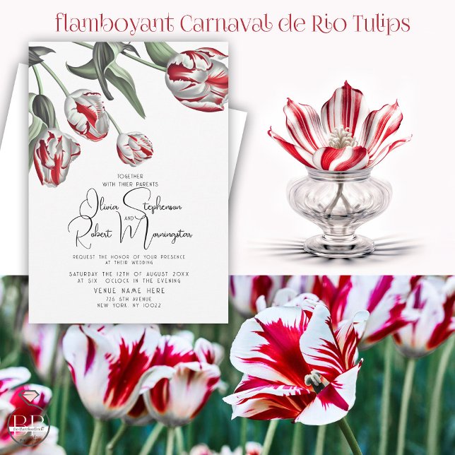 Hochzeit | Rote und weiße Rembrandt Tulips Einladung (Stunning BOLD red and White  Rembrandt tulips - what a delight for your red and white wedding  theme)