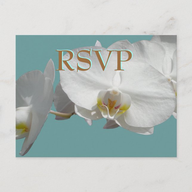 Hochzeit RSVP Weißorchids Einladungspostkarte (Vorderseite)