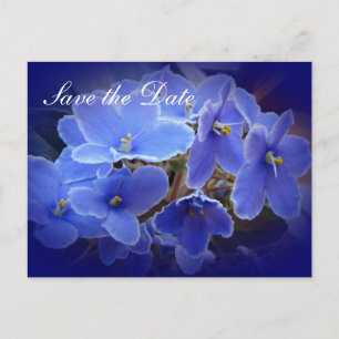 Hochzeit "Save the Date" Blauafrikanische Violette Ankündigungspostkarte