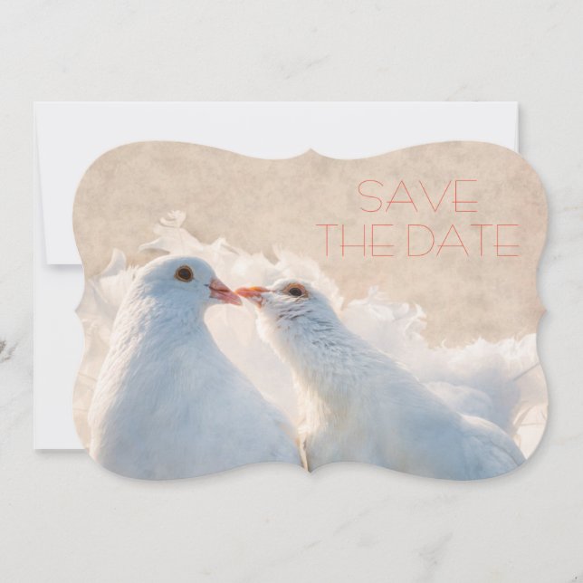 Hochzeit speichern Sie das Datum, an dem die Taube Save The Date (Vorderseite)