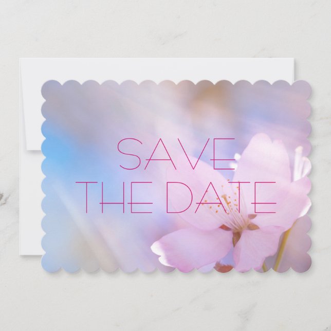 Hochzeit speichern Sie das Datum Kirschbllossom Save The Date (Vorderseite)