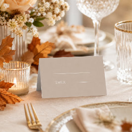 Hochzeit Taupe Creme modern einfach Platzkarte