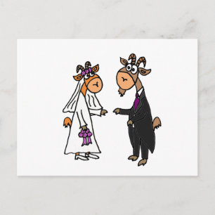 Hochzeit von Braut und Groom Goat Postkarte