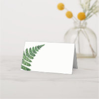 Hochzeit von grünem Farn. Botanischer Wald