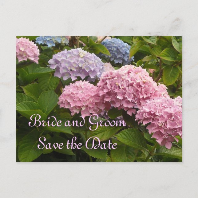Hochzeit von Hydrangeas Save the Date Ankündigungspostkarte (Vorderseite)