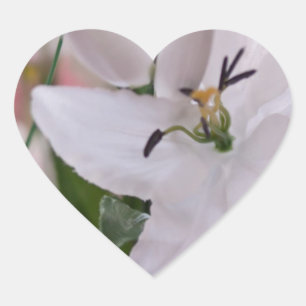 Hochzeit weiße Lilien Blumen floral Flora Liebe Re Herz-Aufkleber