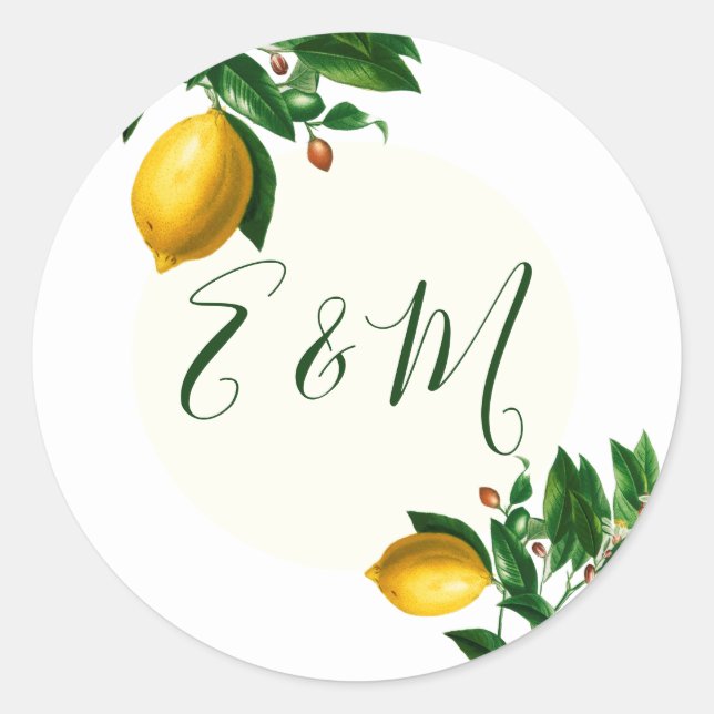 Hochzeitlemon Botanische einfache Monogramm Sommer Runder Aufkleber (Vorderseite)