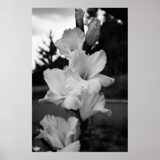 Hochzeitplakat für die Blume Poster