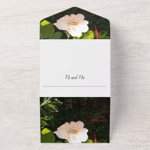 Hochzeits-Einladung Weiße Rose und Karte Alles in