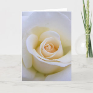 Hochzeits-Rose Karte