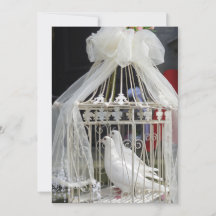 Hochzeits Tauben warten auf das Brautpaar