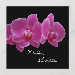 Hochzeitsempfangs-Einladung nur -- Orchideen Einladung