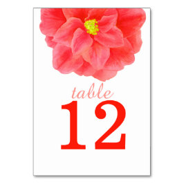 Hochzeitsfeiern in Locarno Tischnummer