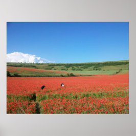 Hochzeitsfoto auf einem Feld roter Mohnblumen Poster