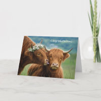 Hochzeitsglückwünsche Highland-Kuh Kuss