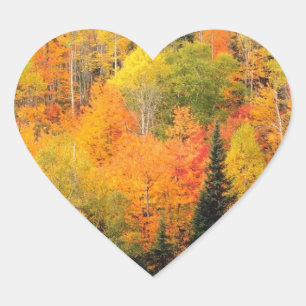 Hochzeitsherzen Hochzeiten im Herbst Herbsthochzei Herz-Aufkleber