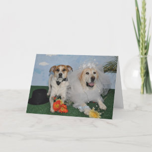 Hochzeitskarte, Foto von 2 Hunden am Hochzeitstag Karte
