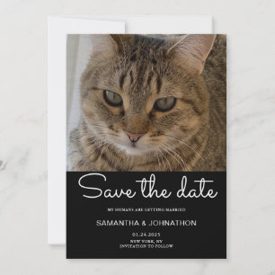 Hochzeitskatzenfoto save the date