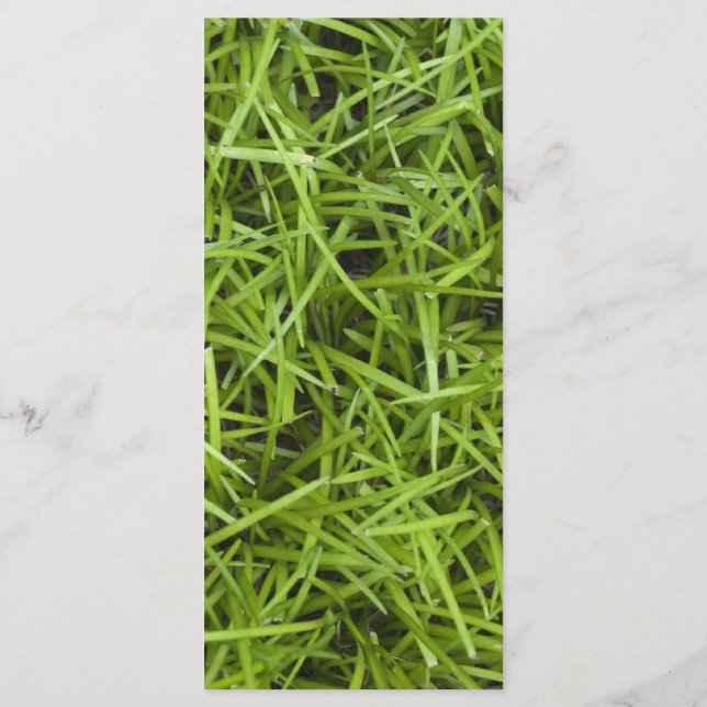 Hochzeitsprogramm für Grüngras Programm (Rückseite)