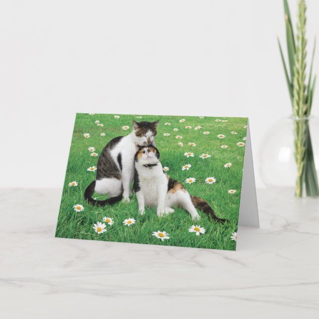 Hochzeitstag Cat Card Fantastisch Niedlich Karte (Vorderseite)