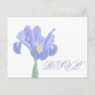 Hochzeitstichtag RSVP Iris Postkarten