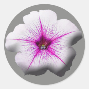 Hochzeitsticker Petunia Runder Aufkleber