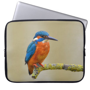 Hockender Eisvogel Laptopschutzhülle